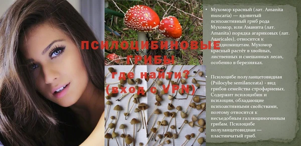 индика Заволжск
