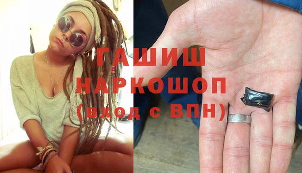 индика Заволжск