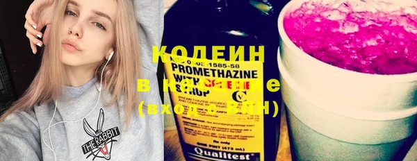 индика Заволжск