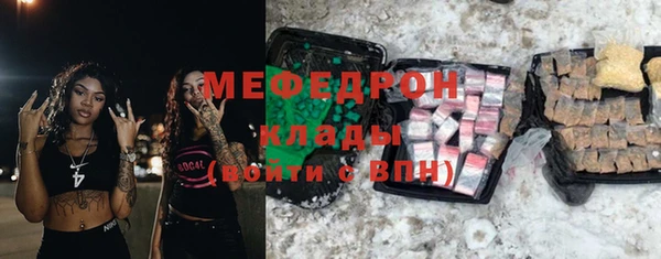 индика Заволжск