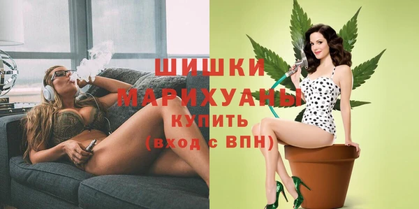 индика Заволжск