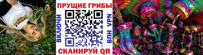 Галлюциногенные грибы ЛСД Купить закладки Звенигород